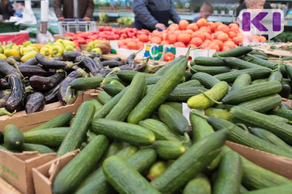 В Коми за неделю подешевели сахар, свежие огурцы и яблоки