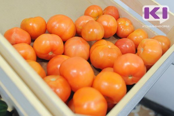 За неделю в Коми подорожали помидоры и подешевели яблоки