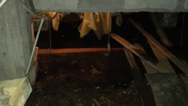 В Сыктывкаре жильцы многоквартирного дома живут с протекающей канализацией, плесенью и насекомыми
