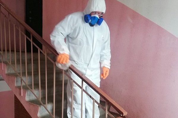 Мэрия Сыктывкара в конце этой недели проверит исполнение графиков дезинфекции подъездов домов