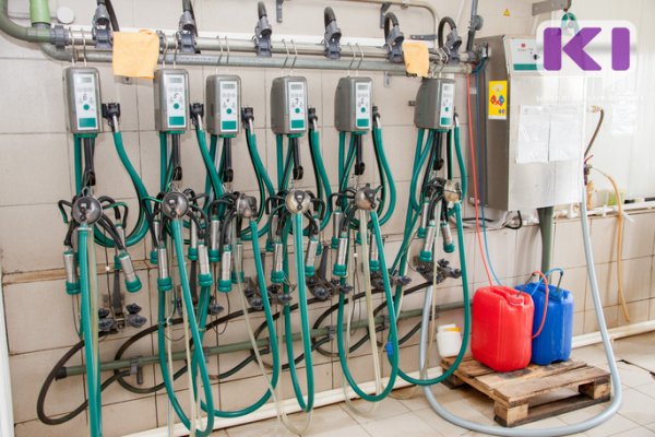 В Коми приступили к реализации народных проектов в сфере АПК

