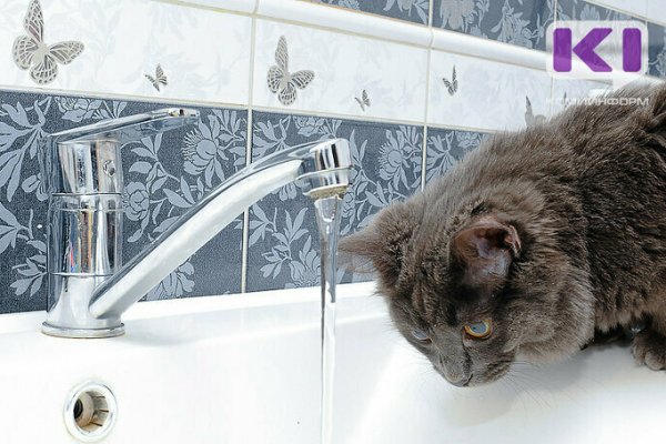 Отключение горячей воды в Сыктывкаре: график и адреса 
