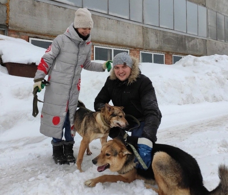 Проекты волонтеров Коми продолжают борьбу за победу в конкурсе "Доброволец России – 2020"