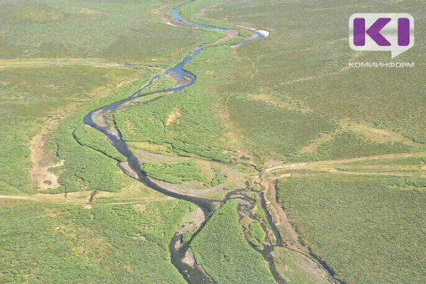 Вхождение еще трех районов Коми в Арктическую зону принесет колоссальную пользу региону -  Владимир Уйба 
