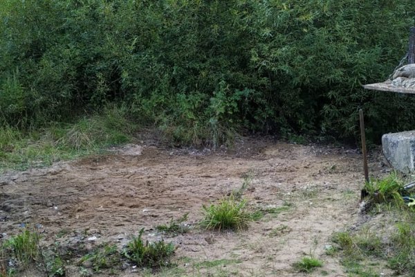 Регоператор по обращению с ТКО ликвидировал две несанкционированные свалки в Сыктывкаре