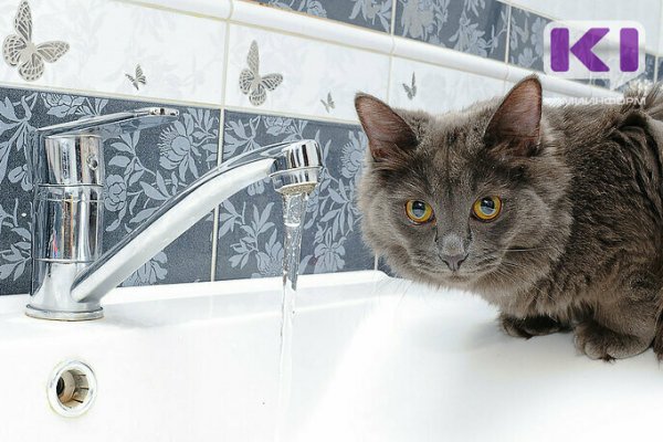 В Сыктывдине и Усинске к людям придет 