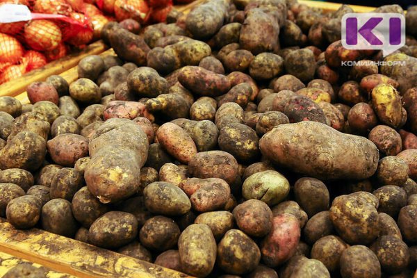 В Коми за неделю подешевели капуста, картофель и морковь