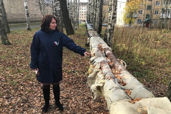 Сыктывкар оказался на 41-м месте в антирейтинге 