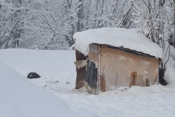 Мэрия Усинска снесет собачью будку как самовольную постройку
