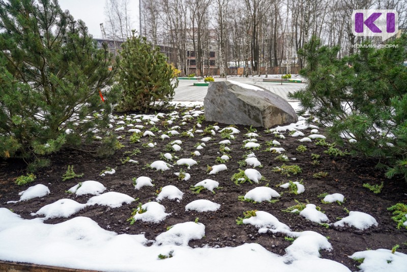 Как сыктывкарских волонтеров подготовят к участию в проекте "Формирование комфортной городской среды"