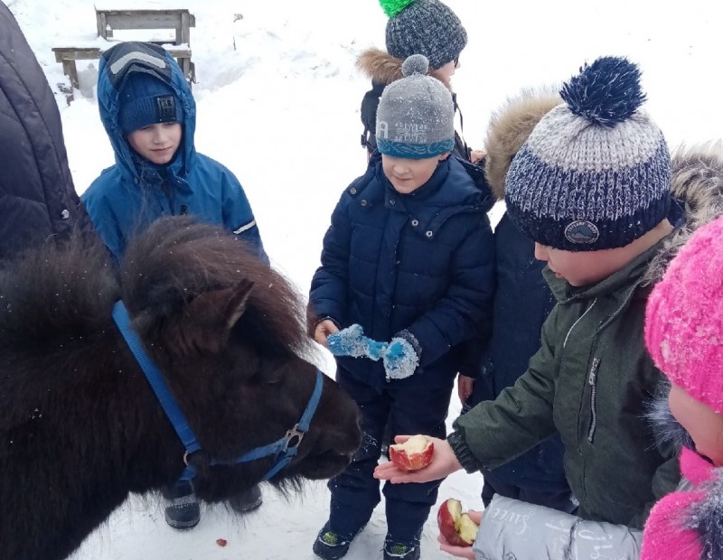 Наука, экология и патриотизм: что организовали для школьников Коми на период весенних каникул