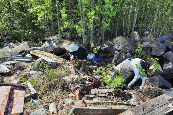 Администрация Усть-Вымского района выясняет, кто организовал 