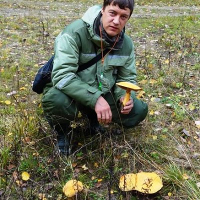 Грибной сезон-2021 удивил ученых 