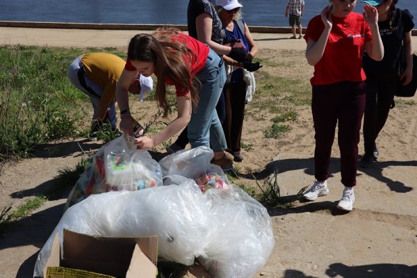 ОНФ в Коми отметил День эколога субботником на берегу реки Сысола в Сыктывкаре

