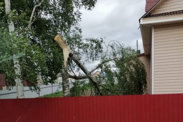 Энергетики Коми работают в режиме повышенной готовности из-за неблагоприятных погодных условий