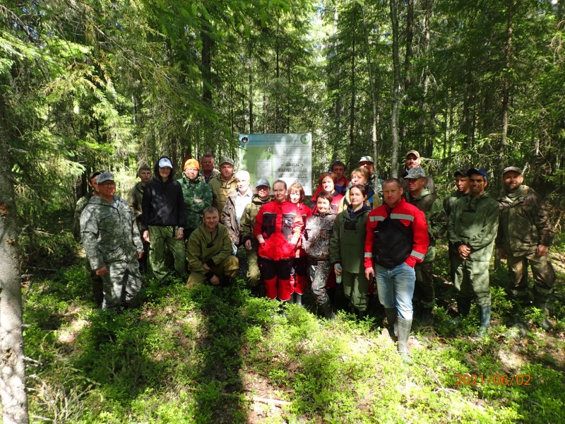 CЛДК углубил знания по сохранению биоразнообразия лесов Коми 