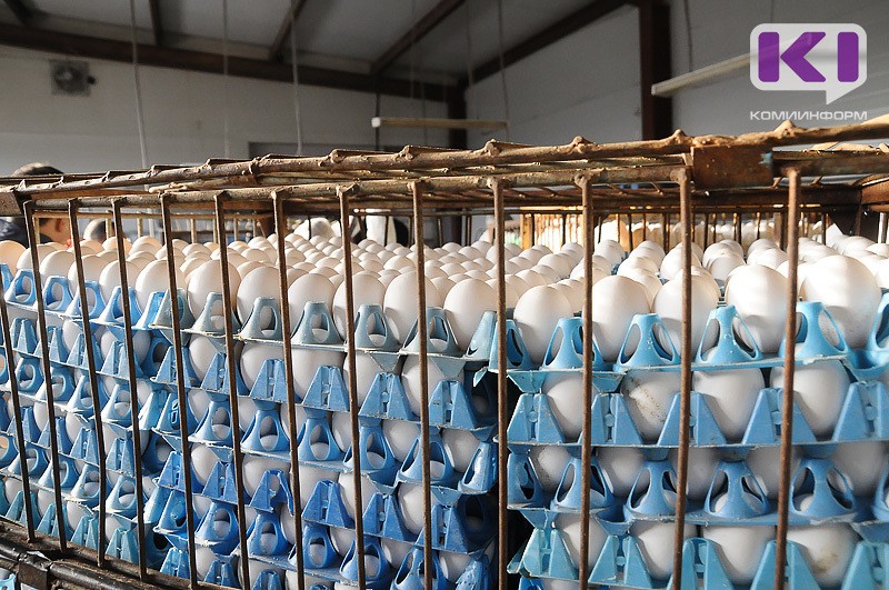 За неделю в Коми подорожали яйца и подешевела курятина