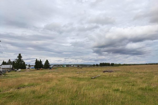 В Коми 1 августа стартовала программа 