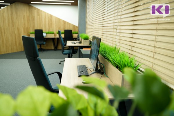 В Коми наращивают количество занятых в сфере малого и среднего предпринимательства

