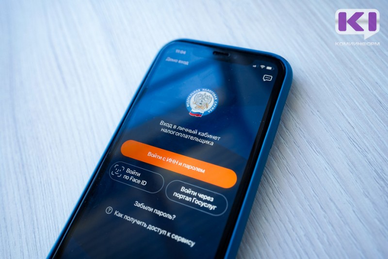 Увидеть начисленные налоги можно электронно 