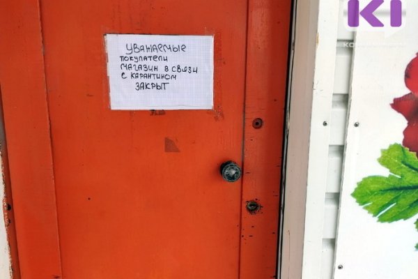 В Коми возмещают часть затрат предпринимателей, экономически пострадавших от ковида