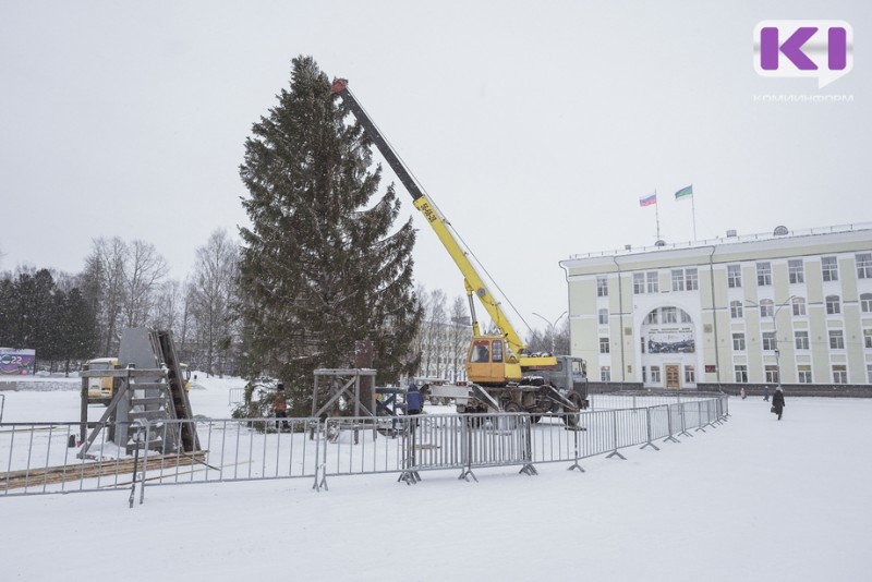 Елка из Корткеросского района украсила Стефановскую площадь столицы Коми