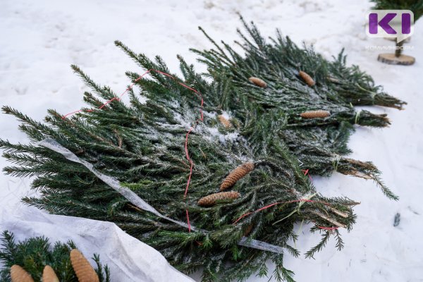 Сыктывкарцев приглашают на экоакцию 