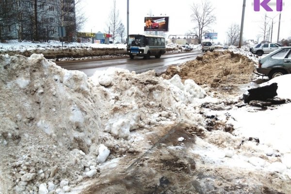 В Сыктывкаре обсудят перспективы рекультивации свалки в Дырносе