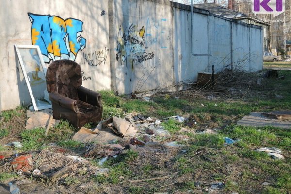 Госдума приняла в первом чтении законопроект о штрафах за выброс отходов из транспортных средств