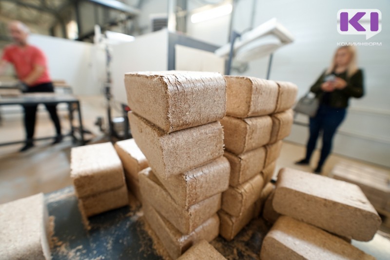 В правительстве Коми прорабатывают вопрос ускорения перевода части котельных в республике на биотопливо