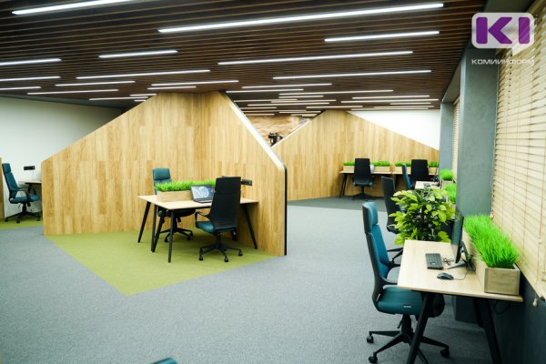 Какие меры поддержки для малого и среднего предпринимательства действуют в Коми
