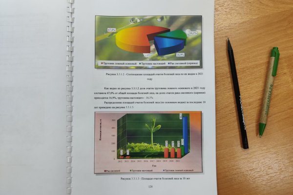 В 2022 в Коми году ожидается увеличение площади усыхания лесов 
