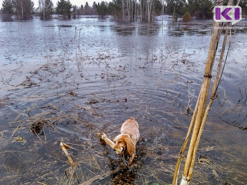Ледоход на реках Коми начнется 15 апреля 