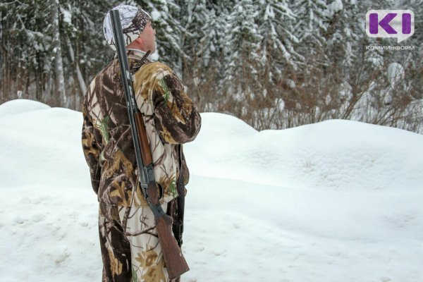 Четыре муниципалитета в Коми решили вопросы с волками и не попали в список проблемных 