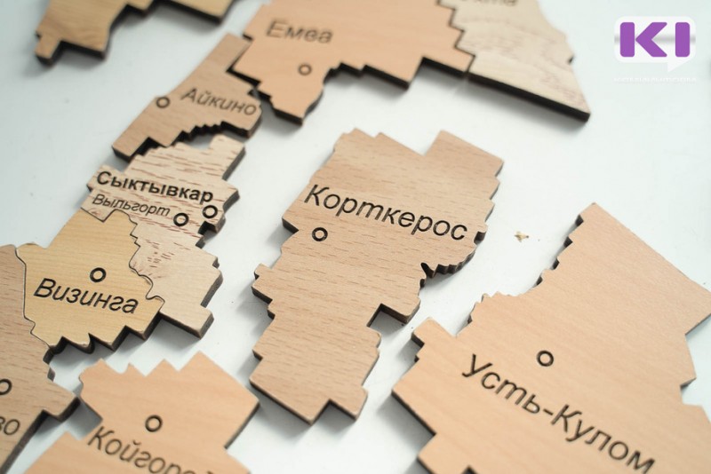 В Корткеросском районе больше всего заработала супруга депутата Евгения Мамонтова 