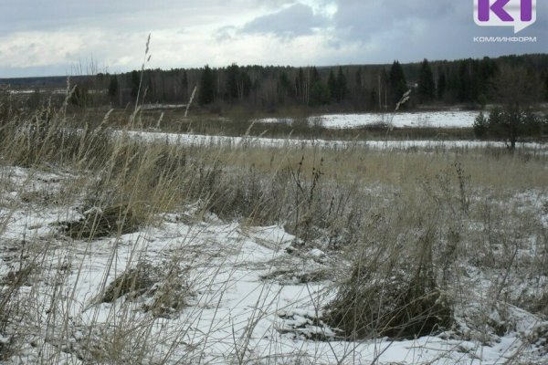 Погода в Коми 4 мая: ночью дождь, местами со снегом, днем небольшие осадки