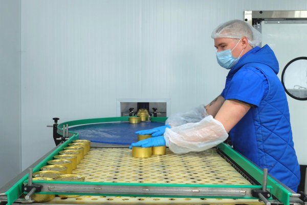 Птицефабрика 