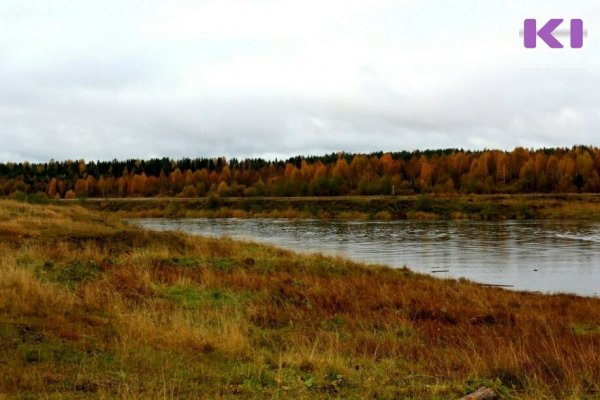 Погода в Коми 12 мая: южный ветер и дождь