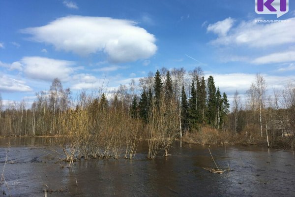 Жителям Коми не стоит рассчитывать на скорое потепление