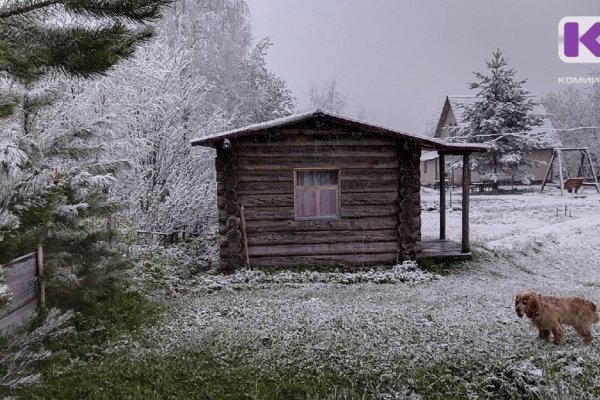 Последние майские выходные Коми встретит по-летнему теплой погодой
