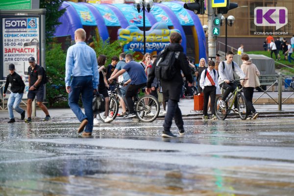 Погода в Коми 27 мая: южный ветер и небольшой дождь