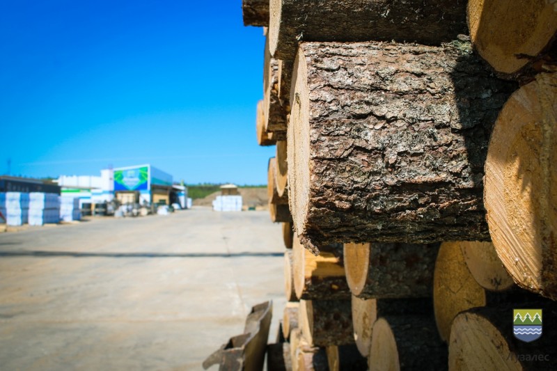 Крупный и малый бизнес должны работать сообща - Руслан Семенюк

