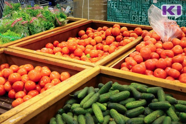 Овощи с огородов могут появиться на полках супермаркетов

