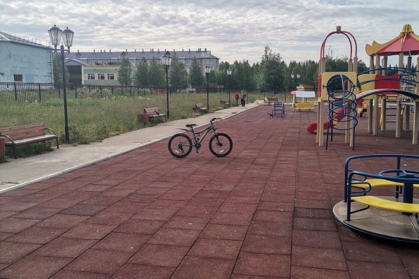 В пгт. Синдор продолжается благоустройство парка отдыха