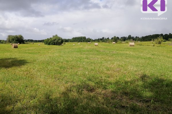 Производителям импортозамещающей продукции установили арендную плату за землю в размере 1 рубля