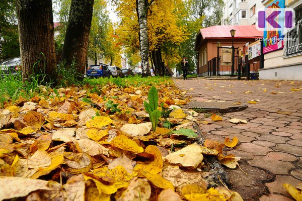 Погода в Коми 11 октября: небольшой дождь, +5...+10°С
