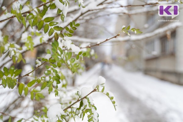 Погода в Коми 22 октября: на севере - мокрый снег, на юге - небольшой дождь