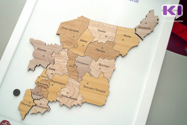 В Коми увеличился выпуск топлива, но сократилось производство пищевой продукции, бумаги и фанеры