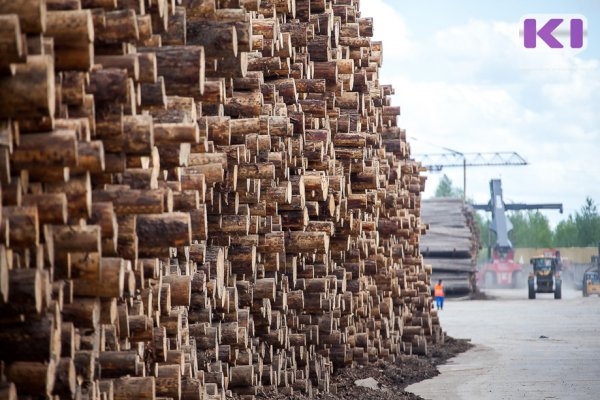 Лесопромышленники Коми переориентируют экспорт на Азию и Ближний Восток