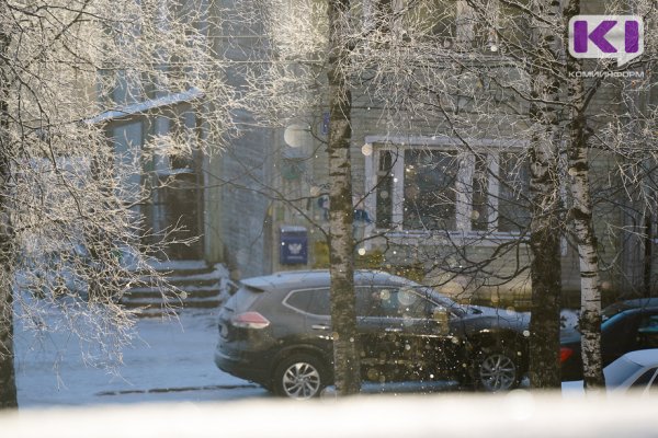 В Коми сохранится сильное гололедно-изморозевое отложение